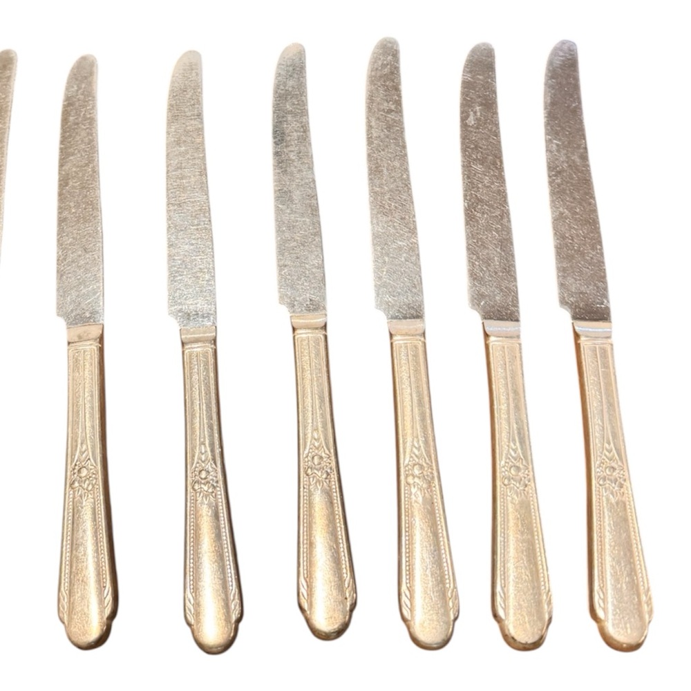 Vintage Wm. Rogers 8 silverplate dinner knives, ornate floral style
